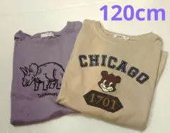 ペアマノン ビールーム 半袖Tシャツまとめ売り
