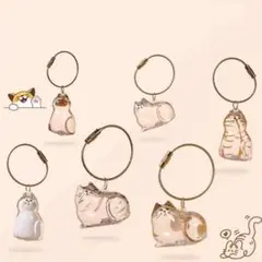 Item thumbnail for item 6d386fe3-b392-41b7-ad86-951ec8edefd3
