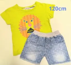 Tシャツ デニムパンツ 2点セット まとめ売り 120cm