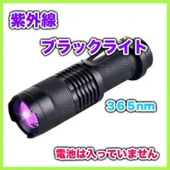 ブラックライト 釣り コンパクト ペン型 UV ledライト 軽量 紫外線