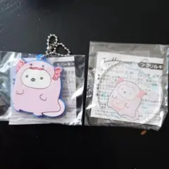 すみっコぐらし水族館×アクアワールド大洗　しろくま