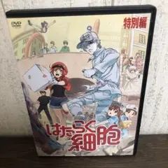 はたらく細胞 特別編　DVD
