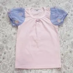 パンパンチュチュ お花とリボンのパフ袖 Tシャツ ピンク×ブルー 120