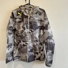 Item thumbnail for item c137c272-1fd5-4d6a-a234-6f37e2e57145