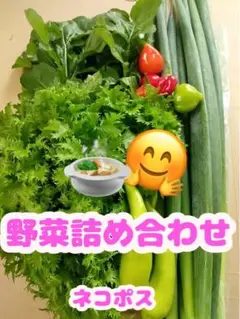 野菜詰め合わせ✨ネコポス