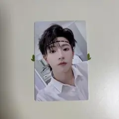 TF家族三代 穆祉丞 小卡