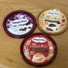 ハーゲンダッツ／蓋／メルティーチョコレート