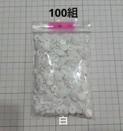 プラスナップ　100組　ＫＡＭ　12mm（T5）ツヤなし白