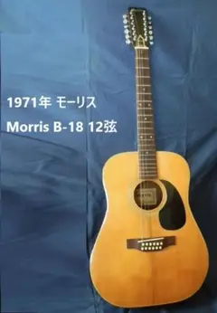 2025年最新】MORRIS B 12弦の人気アイテム - メルカリ