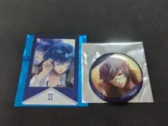 Starry☆Sky スタスカ インスタントフォト風カード　缶バッジ　 水嶋郁