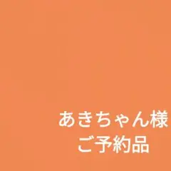 正絹六通袋帯✿存在感溢れるゴールド文様✿