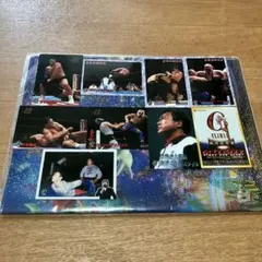 新日本プロレスカード 9枚 1998 バンダイ