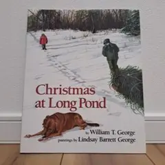 Christmas at Long Pond