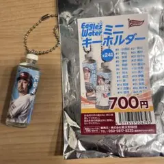 イーグルスウォーター　ミニキーホルダー