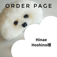 Hinae Hoshino様オーダーページ