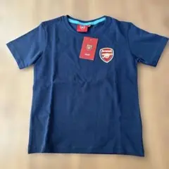 Item thumbnail for item c5f80b3c-8b13-4740-b5c4-6e5ab0a2cd36