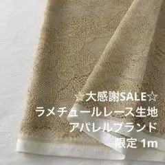 2FL/5409◆1m 感謝祭/限定/ポリエステルラメチュールレース生地