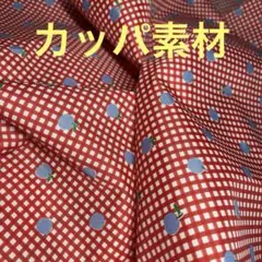 D's SELECTION カッパ素材　レトロチック　レトロりんご