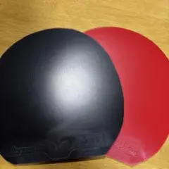 ディグニクス09C 2枚組　C