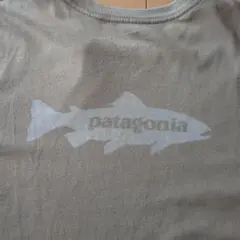 Patagoniaパタゴニア　トラウトTシャツ
