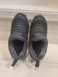 Nike ダイナモンフリー20cm