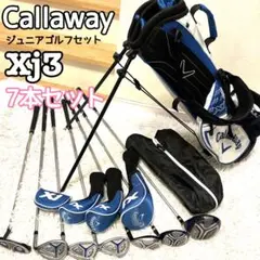 Item thumbnail for item a7585214-1a55-4803-9ea4-f0d062e23f5b