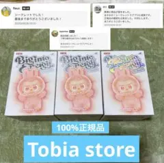 【正規品・未開封】Labubu Big into Energy 3箱