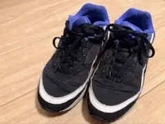 NIKE AIR MAX BW（ナイキ エア マックス BW）27.5cm