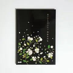 遙なる時空の中で 舞一夜　画像資料集