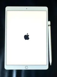 Apple Pencil＋iPad Pro10.5インチ256GB Wi-Fi