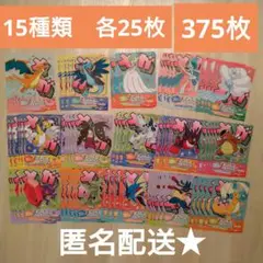 ポケモンセンター　メガシンカ　チラシ　フライヤー　ポケセン　フェスティバル