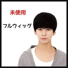FESHFEN ウィッグ メンズ ショート 医療用 人毛100% 手植え