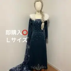 2025年最新】アナ ドレスセット ＝アナと雪の女王 家族の思い出