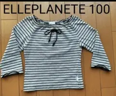 ELLE　PLANETE 100 長袖Tシャツ　ロンT ボーダー　ストライプ