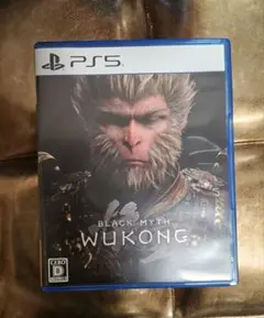 【PS5/匿名発送】黒神話：悟空　BLACK MYTH WUKONG