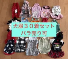 Item thumbnail for item 124da292-c100-47b8-9adb-b1f5d3fbb0ad