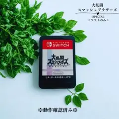 大乱闘スマッシュブラザーズ SPECIAL switch 《動作確認済み》