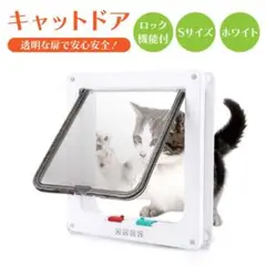 Item thumbnail for item fba80ec3-f2e9-433f-bbaf-60563acdd2f3