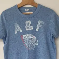 アバクロ メンズ Tシャツ Abercrombie アバクロンビー&フィッチ
