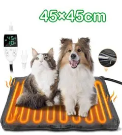 Item thumbnail for item c0f0adf1-65bf-4bad-8c1b-c8ea8e2f4337