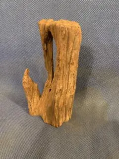 Item thumbnail for item ae39f228-1ed1-4623-9097-b9362a216532