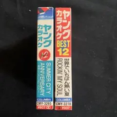 ブルーハーツ　オリジナルカラオケ２ 【希少・帯付き】 2025年最新】ブルーハーツ カラオケの人気アイテム - メルカリ