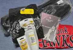 Item thumbnail for item 22c2fec1-073a-4f02-8014-3df1a098cfb5