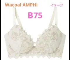 ワコール アンフィ グラマリッチ ダブル盛り　フラワー　B75