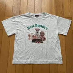 ラブトキシック　半袖　Ｔシャツ S 140cm