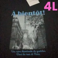 【新品】4L 黒 フォトTシャツ 吸水速乾、接触冷感、UV