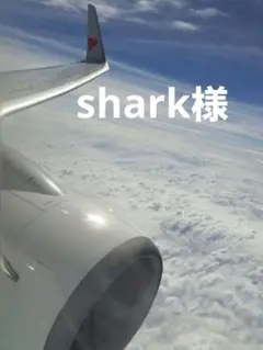 shark様