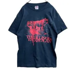 フルーツオブザルーム　メンズTシャツ　黒　Mサイズ　クルーネック【2806】