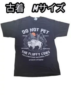 古着　PORT & COMPANY Mサイズ Tシャツ
