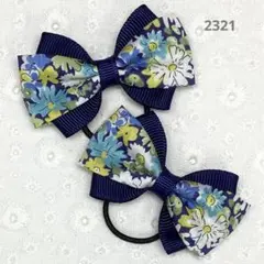 Item thumbnail for item 12b56214-1787-434e-8aa5-3743b918c324